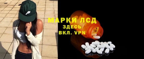 стаф Надым