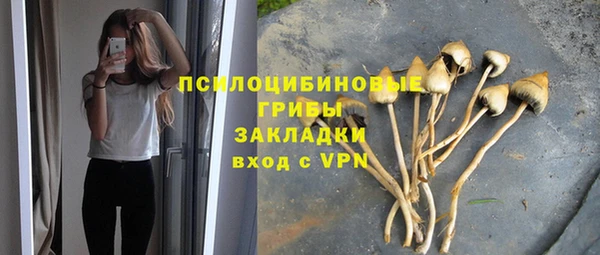 ГАЛЛЮЦИНОГЕННЫЕ ГРИБЫ Мегион