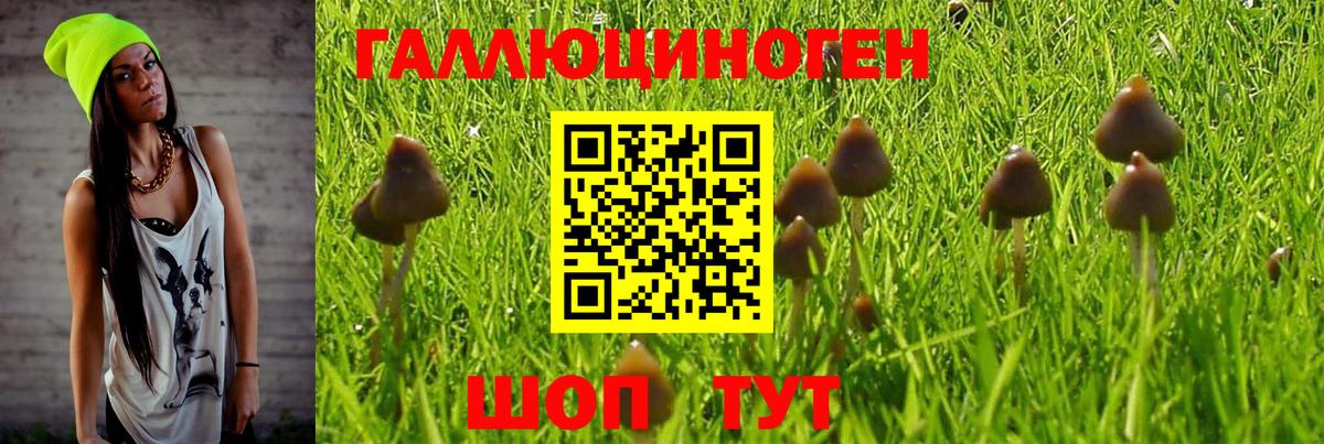 Кропоткин  Галлюциногенные грибы мицелий  Галлюциногенные грибы прущие грибы  Вход с VPN 